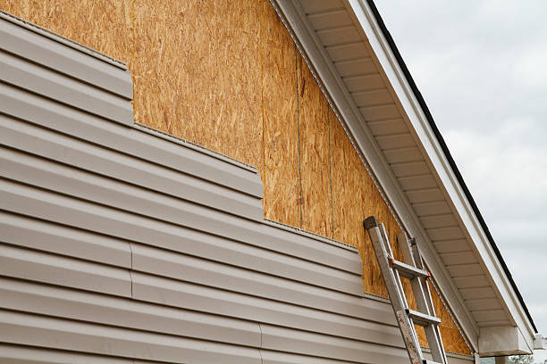 Professional Siding Repair technician working in Kittredge, CO